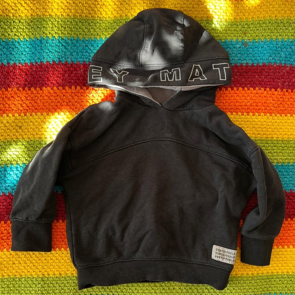 Zara Toddler Hoodie 2-3T